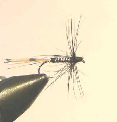 Black Pennell, Wet Fly Pattern for Loch Fishing