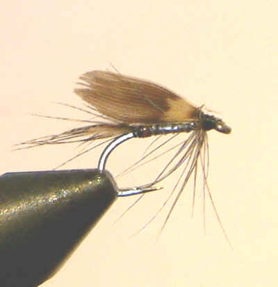 Traditional Wet Fly Pattern, March Brown
